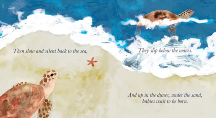 Inside photo of the Beside the Sea by Windy Hollow Books