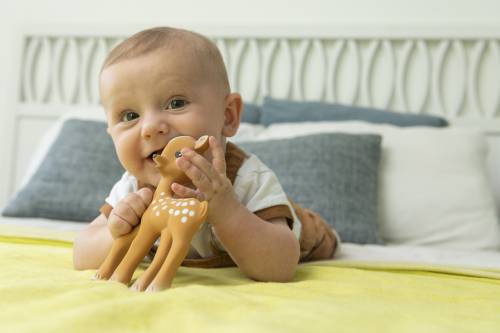 Baby Teething on the Fanfan the Fawn by Sophie La Girafe