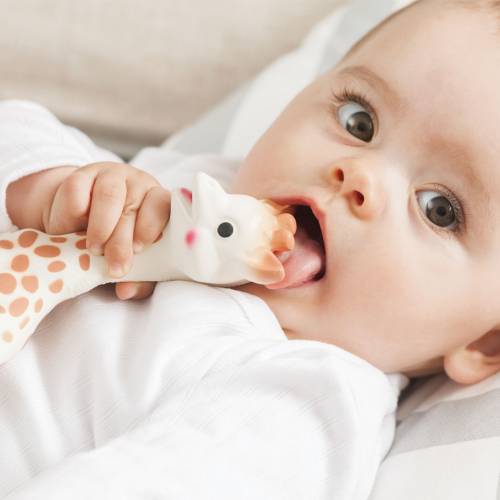 Baby Teething on the Sophie La Girafe by Sophie La Girafe